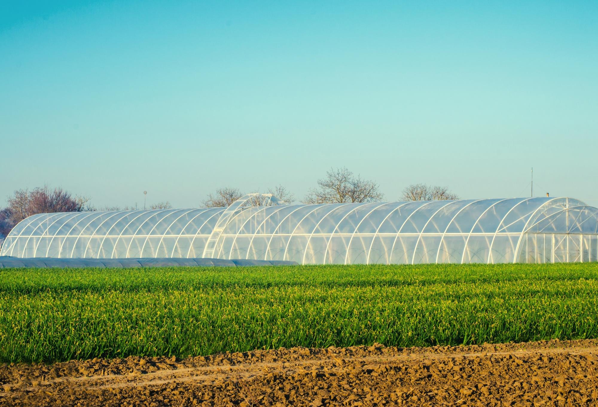 KBS polyhouses across a field
