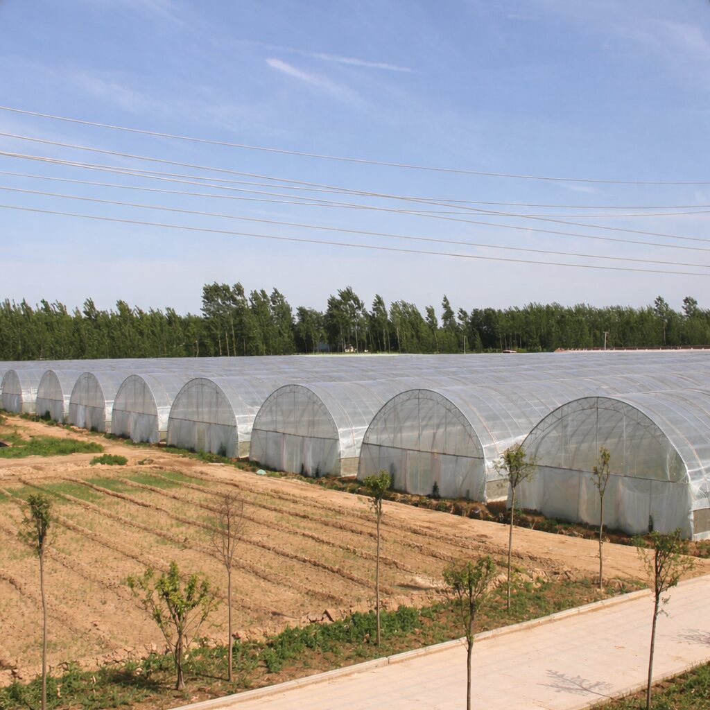 Large KBS polyhouse installation