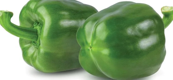 Capsicum KCSH-1201